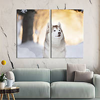Модульная картина на холсте KIL Art Пёс в снежном лесу 71x51 см (211-2) z111-2024
