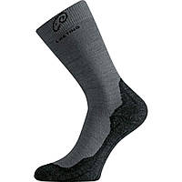 Носки Lasting WHI 809 Grey L (1054-002.003.3576) GG, код: 6529619