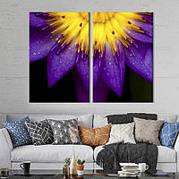 Модульная картина на холсте KIL Art Жёлто-фиолетовый цветок 111x81 см (218-2) z111-2024