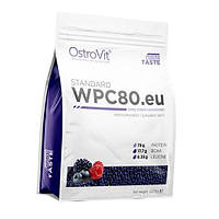 Концентрат Сывороточного Протеина WPC80.eu standart Ostrovit 2270г Дикая ягода (29250004) z15-2024