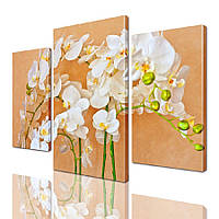 Модульная картина ArtStar цветы Ветки Орхидеи ADFL0032 размер 120 х 180 см z12-2024
