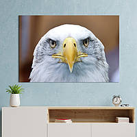 Картина на холсте интерьерная KIL Art Пронзающий взгляд орла 51x34 см (204-1) z111-2024