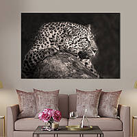 Картина на холсте интерьерная KIL Art Рык леопарда 75x50 см (207-1) z111-2024