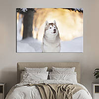 Картина на холсте интерьерная KIL Art Собака и снег 122x81 см (211-1) z111-2024