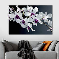 Картина на холсте интерьерная KIL Art Белые цветы 51x34 см (220-1) z111-2024