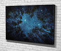 Картина KIL Art для интерьера в гостиную спальню Звезды над лесом 80x54 см (789) z111-2024
