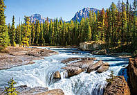 Пазлы Castorland Горная река Athabasca river Jasper National Park Canada 1500 элементов 68 х UP, код: 8263774