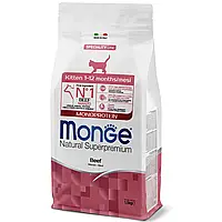Сухий корм для кошенят Monge Cat Monoprotein Kitten з яловичиною 1,5 кг z19-2024