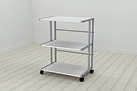 Етажерка на коліщатках Ferrum-decor Камило 75x40x60 метал Сірий ДСП Біле 16 мм (KAM0015) D2-2025