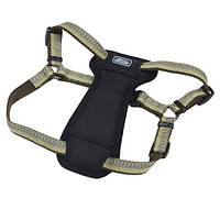 Светоотражающая шлея с нагрудником для собак Coastal K9 Explorer Harness 2.3 - 4.5 кг папоротник 1.6 х 30 - 45