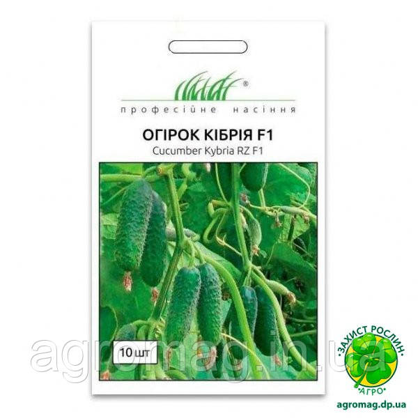 Огірок Кібрія F1 10шт