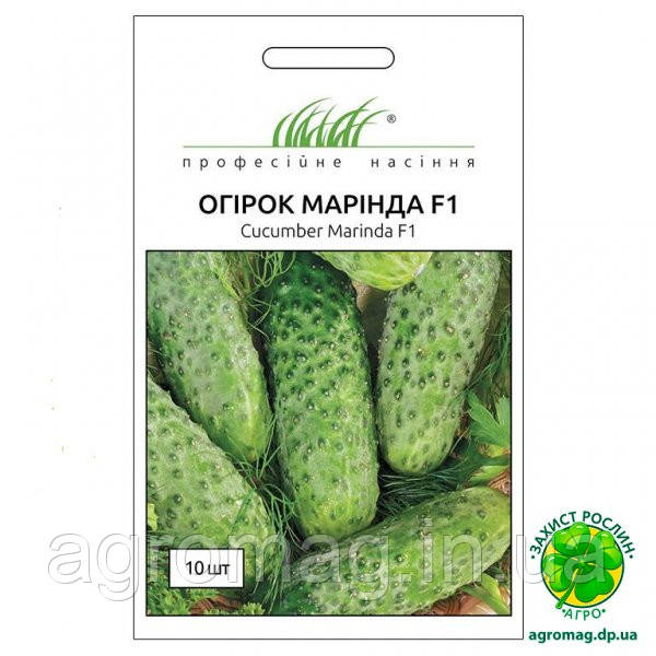 Огурец Маринда F1 10шт - фото 1 - id-p394968577