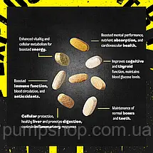 Спортивні вітаміни Universal Nutrition Animal Pak The Ultimate Foundation 44 пак., фото 5