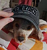 Чорна кепка блайзер напис NEW YORK. Стильна бейсболка, блайзер, кепка. Молодіжний блайзер унісекс., фото 9