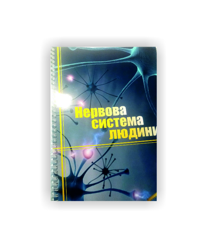 Методичний посібник Vivay Нервова система людини Формат А4 12 стр Різнобарвний