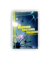 Методичний посібник Vivay Нервова система людини Формат А4 12 стр Різнобарвний