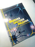 Методичний посібник Vivay Нервова система людини Формат А4 12 стр Різнобарвний, фото 2