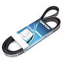 Ремінь приводу агрегатів FORD FOCUS 1.4, 1.6 98-05, TOYOTA RAV4 1.8 00-05, DAEWOO NUBIRA 1.8, 2.0 99- (6PK1890) BOSCH, фото 10