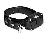 Нашийник для собак DTC-800 9085, фото 4