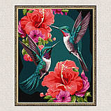Картина за номерами Смарагдові пташки колібрі з фарбами металік 40*50 см Ідейка KHO 6581 exp, фото 5