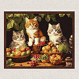 Картина за номерами Котики у фруктах 40*50 см Ідейка KHO 6586, фото 3
