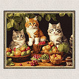 Картина за номерами Котики у фруктах 40*50 см Ідейка KHO 6586, фото 5