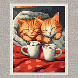 Картина за номерами Сонні котики  30*40 см Ідейка KHO 6588, фото 2