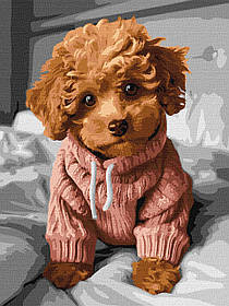 Картина за номерами Милий собака мальтіпу 30*40 см Ідейка KHO 6589