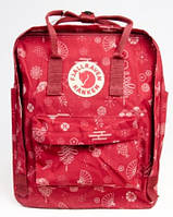 Рюкзак Fjallraven Kanken Classic Art 16л Красный 515272Vi