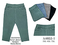 Женские джинсовые бриджи БАТАЛ 4055-1 (в уп. разный цвет) пр-во Китай