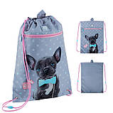 Шкільний набір Kite Education Studio Pets (рюкзак+пенал+сумка+ланчбокс+пляшка) SET_SP24-700M, фото 8