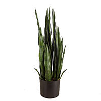 Искусственное растение Engard Sansevieria, 65 см (DW-10) ET, код: 8202235