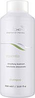 Детокс-шампунь для волос Nubea Essentia Detoxifying Shampoo 1000 мл