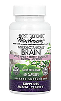 Host Defense Mushrooms MycoBotanicals Brain 60 Capsules