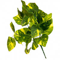 Ветвь филодендрона, цвет меланж 34 см (8001-013)
