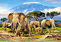 Пазлы Castorland Слоны у подножия Килиманджаро 1000 элементов 68 х 47 см C-103188 DH, код: 8263249