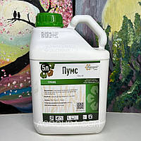 Гербіцид Пумс (Rangoli) 5л