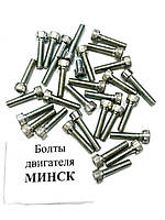 Болты двигателя Минск 6V/12V, заводские