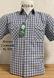 Класична сорочка Hetai GGM з коротким рукавом у клітку- 100% котон