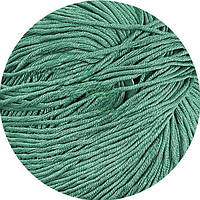 Еджитто 2152 полинь