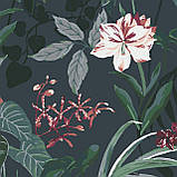 Комплект картин за номерами Riviera Blanca Таємничі орхідеї (ITR-056) 4 шт в наборі, фото 5