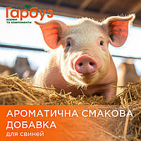 АРОМАТИЧНА СМАКОВА ДОБАВКА (підсолоджувач корму, добавка в мішанку) для свиней