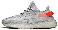 Чоловічі кросівки Adidas Yeezy Boost 350 v2 Tail Light