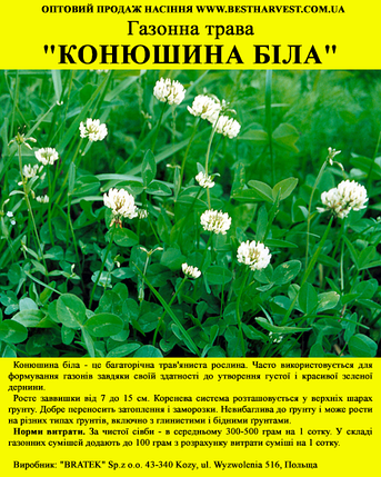 Насіння газонної трави "Конюшина біла" 500 г (Польща), фото 1