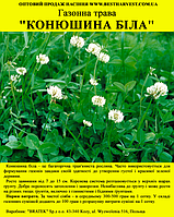 Насіння газонної трави "Конюшина біла" 1 кг (Польща)