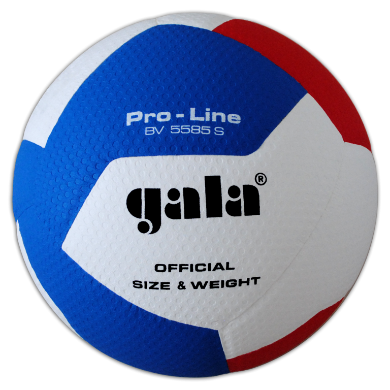 М'яч волейбольний Gala Pro-Line 12 BV5585S, фото 1