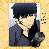 Килимок для мишки А4 - 210x290 мм Solo Leveling / Тільки я візьму новий рівень 019