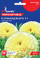 Насіння Чорнобривців Кіліманджаро F1 білі (0.1гTM GL Seeds