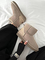 Жіночі угги UGG Mini