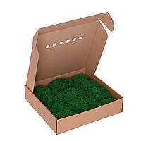 Королевский мох - Ягель - Forest Green - 0,15 м2 - Organic Design